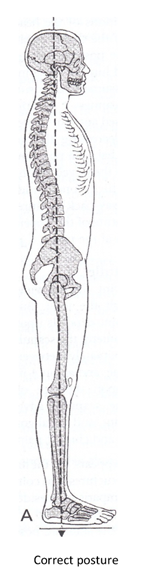 Standing Posture Skeleton