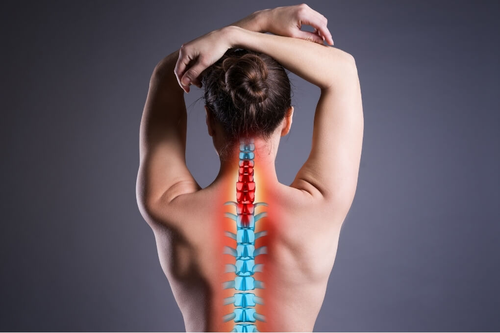 Woman stretching overhead with an anatomical spine graphic highlighted along her back, representing spinal alignment and movement.